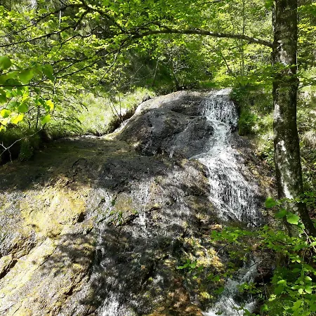 Sportlerhof - Alimann Uab * Грюнау-им-Альмталь