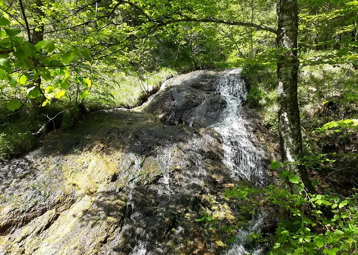 Sportlerhof - Alimann Uab * Grünau im Almtal